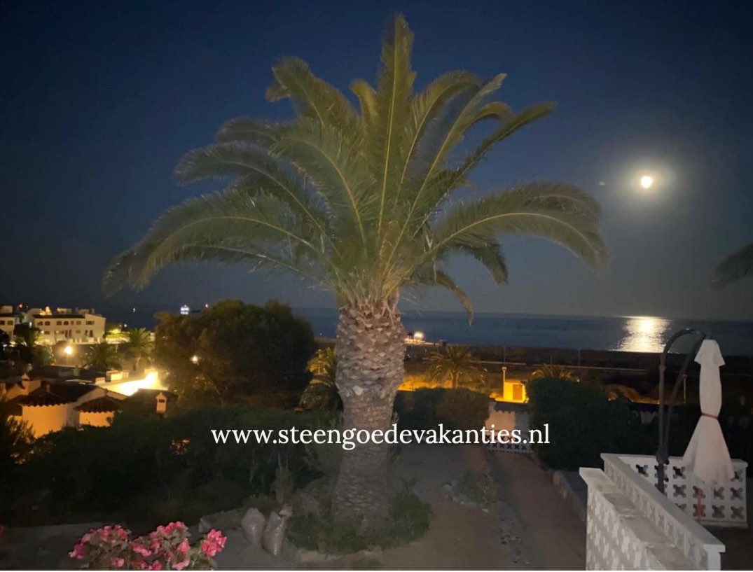Casa Arcomar palm bij maanlicht