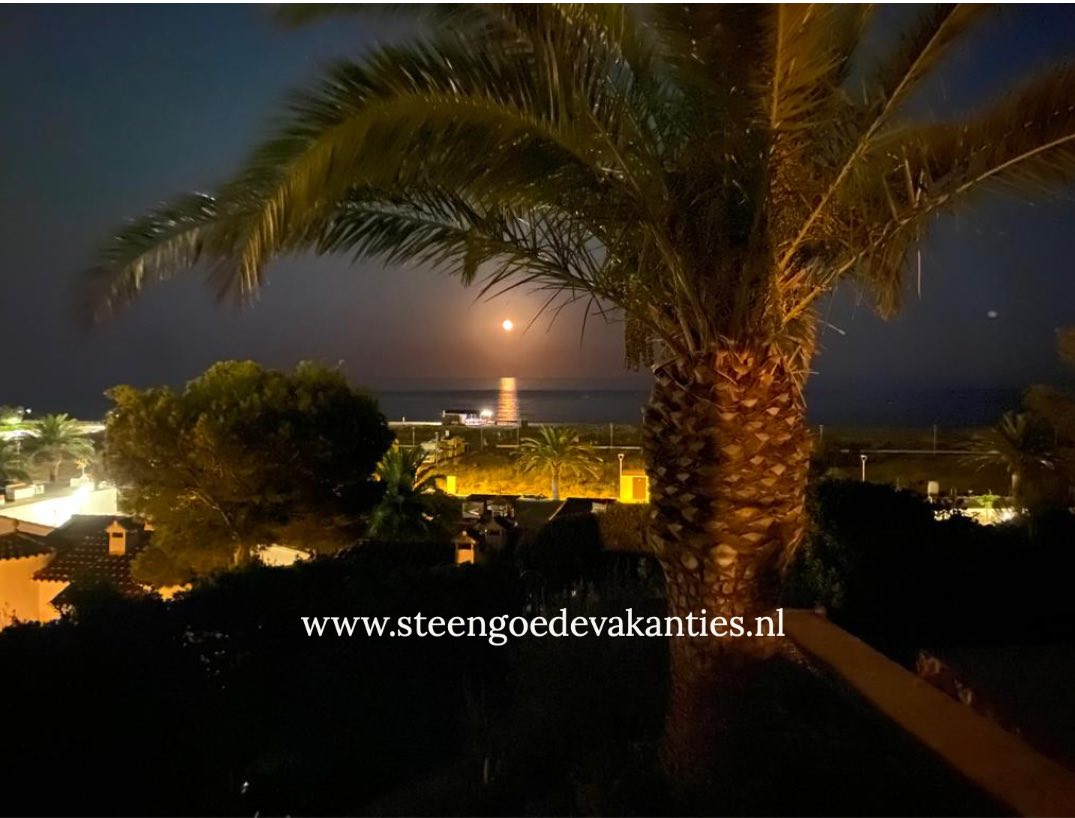 Casa Arcomar zee en palm bij maanlicht
